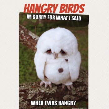 Hangry Birds!