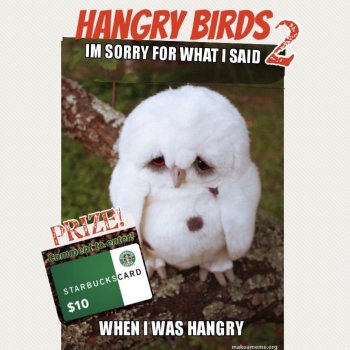 Hangry Birds 2