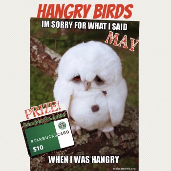 Hangry Birds 3 - Munchy May