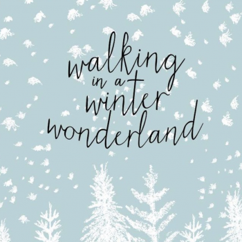 Walking in a Winterwonderland