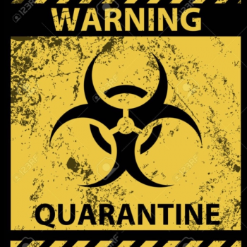 Quarantine Calorie Cutters!