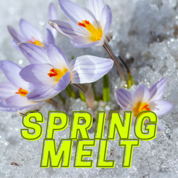 Spring Melt + WEEKLY PRIZES