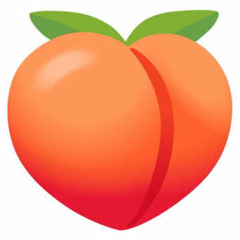 Peaches “Oversized” Challenge