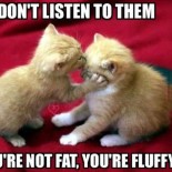 Fight the fluff before the holidays!