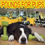 Pounds for Pups Gift Card Give Aways