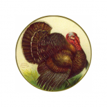 Turkey Trot 'Til Thanksgiving! DietBet