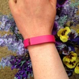 Spring into Fitbit I