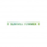 lindseylosingit's Slimmer Summer DietBet