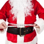 lindseylosingit's Santa Clause Slim Down