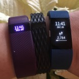 Start the New Year Healthy with Fitbit!
