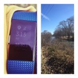 March Madness Mileage with Fitbit