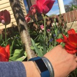 Spring into Summer with Fitbit!