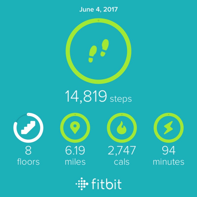 Fitbit app графики.